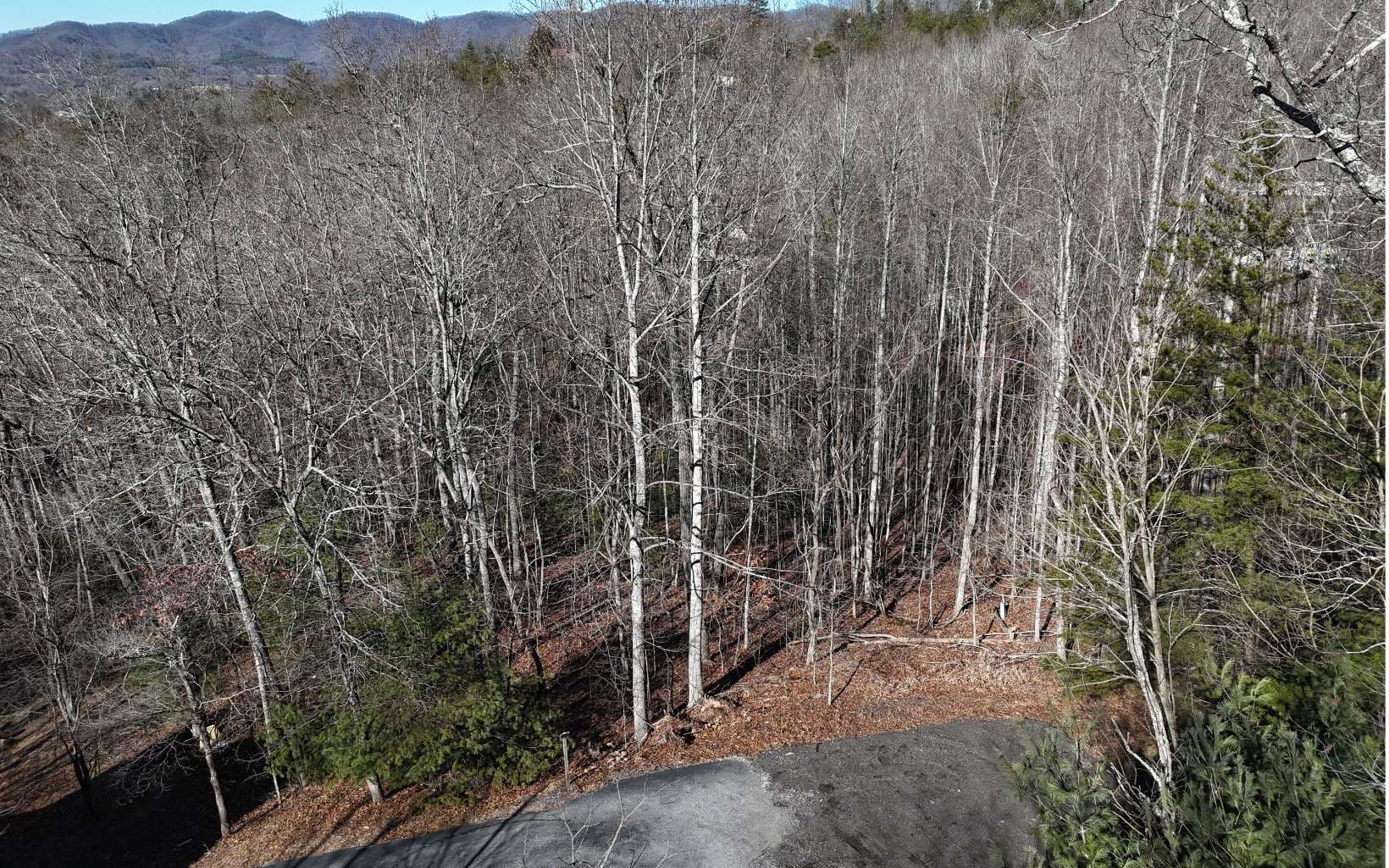 LOT37 Mountain Valley Lane, Blairsville GA 30512 - Photo