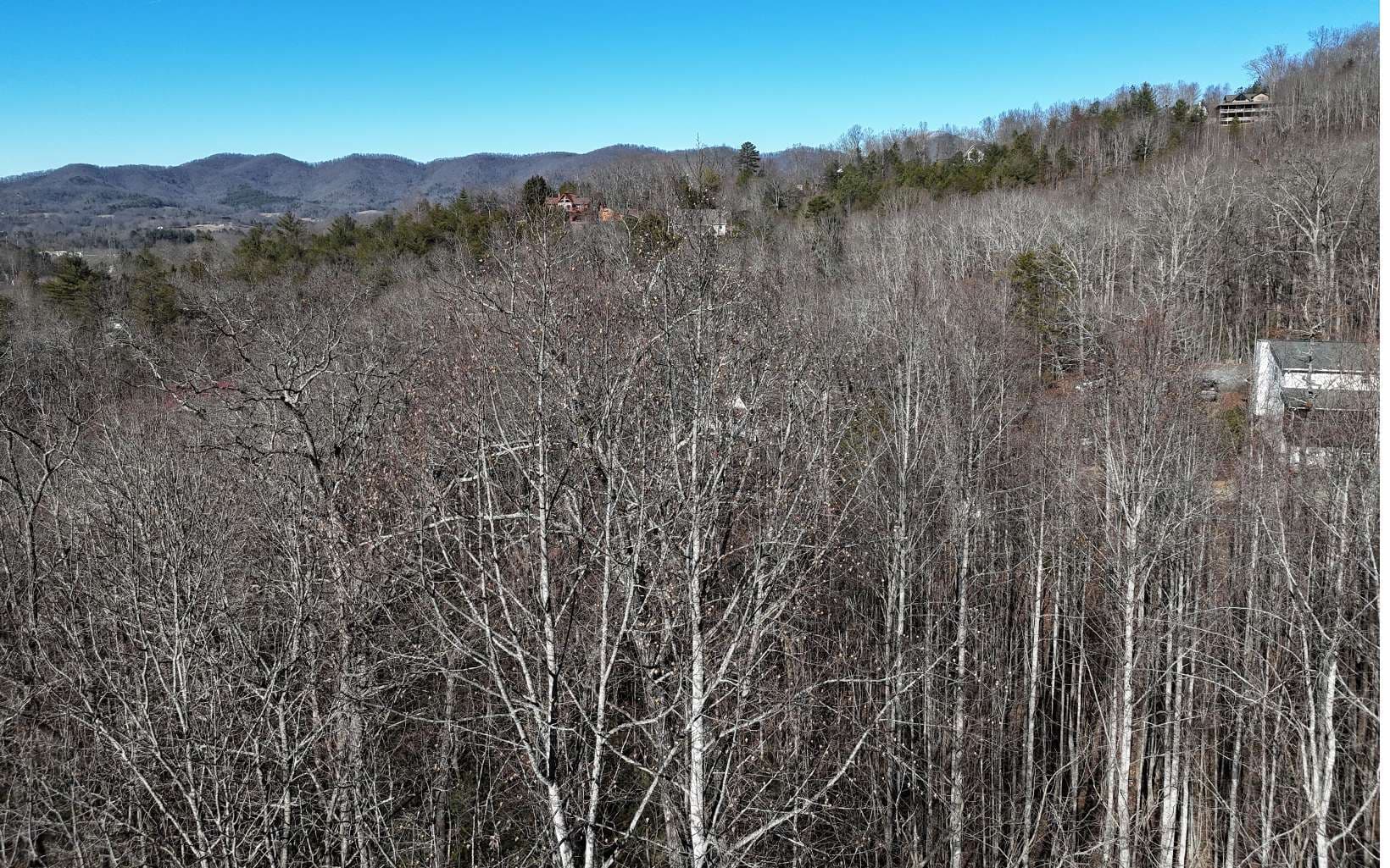 LOT37 Mountain Valley Lane, Blairsville GA 30512 - Photo