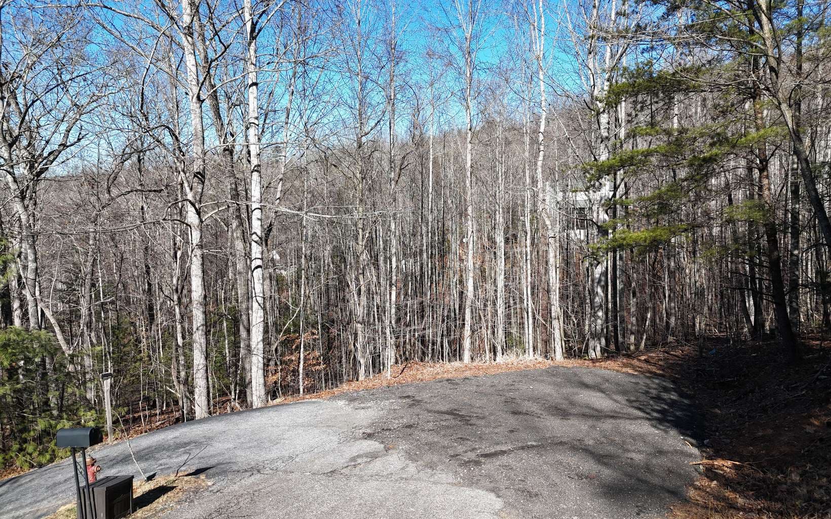 LOT37 Mountain Valley Lane, Blairsville GA 30512 - Photo