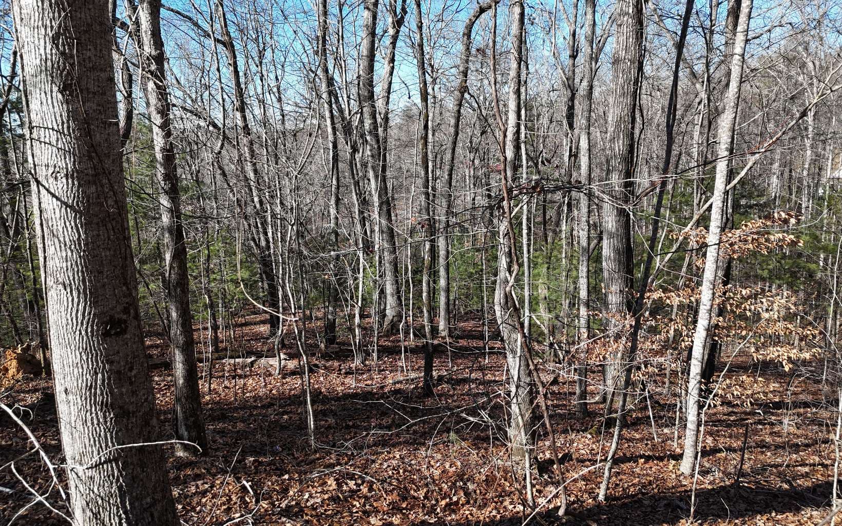 LOT37 Mountain Valley Lane, Blairsville GA 30512 - Photo