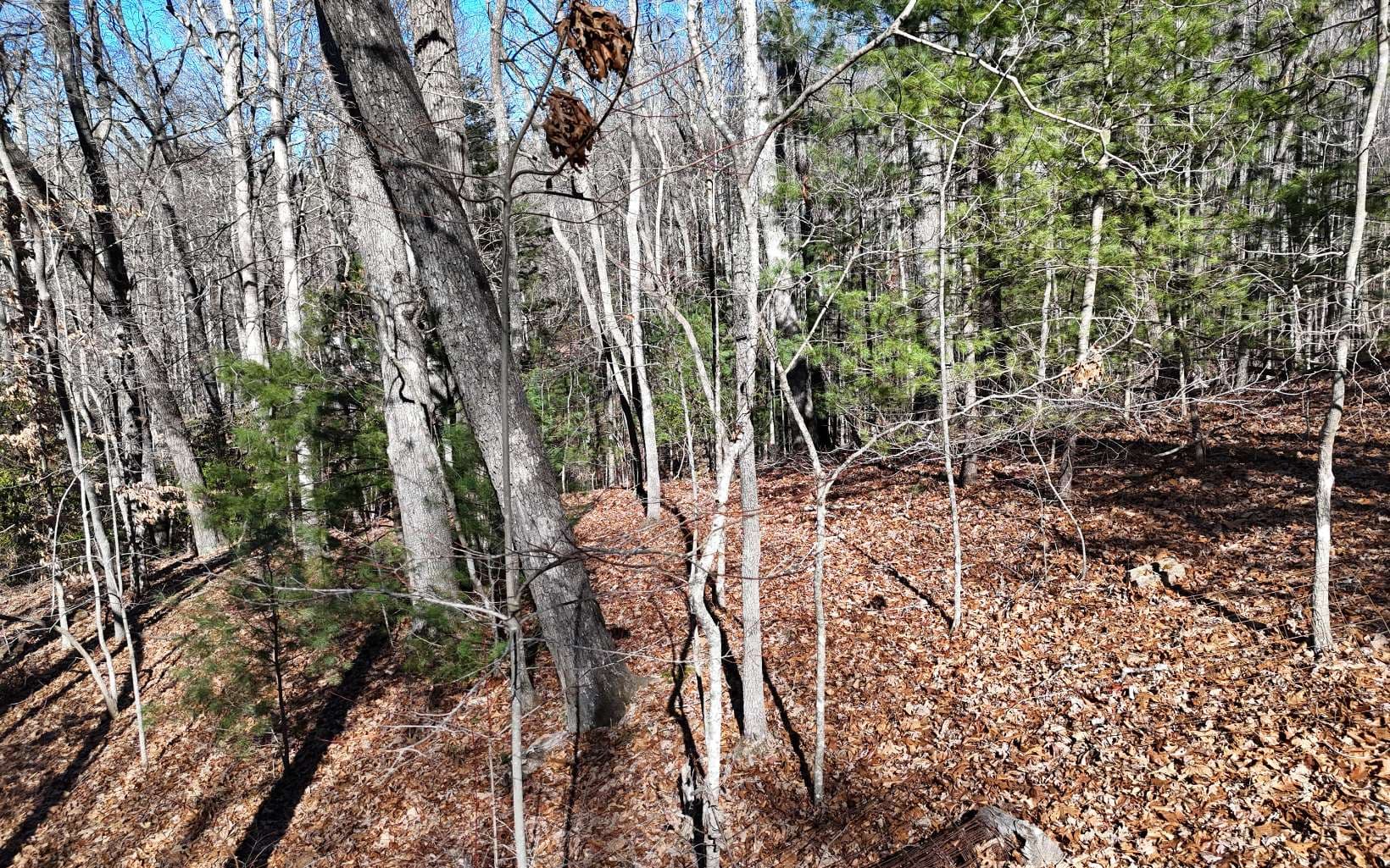 LOT37 Mountain Valley Lane, Blairsville GA 30512 - Photo