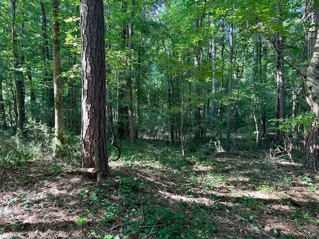 4630 Meadows Road, Powder Springs GA 30127 - Photo