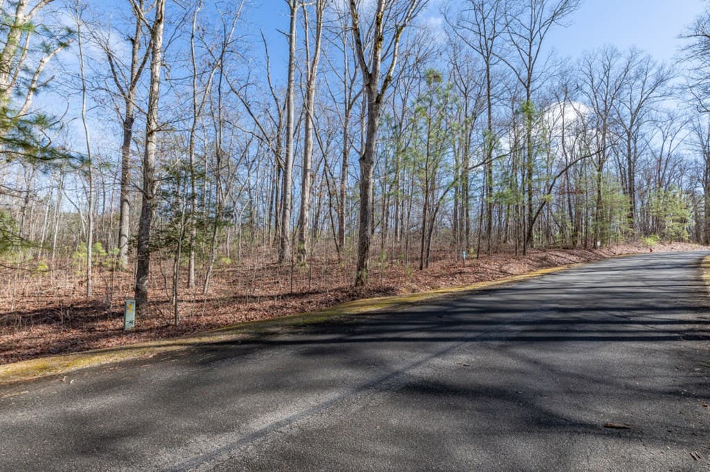 Lot 50 Tranquility @ Carters Lake, Ellijay GA 30540 - Photo