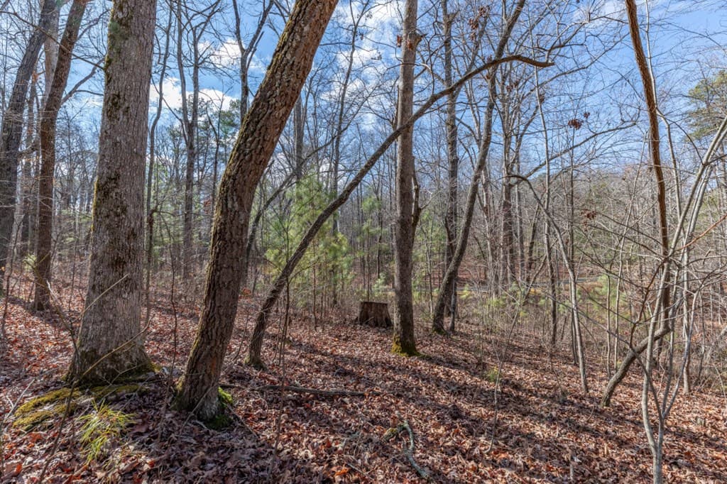 Lot 50 Tranquility @ Carters Lake, Ellijay GA 30540 - Photo