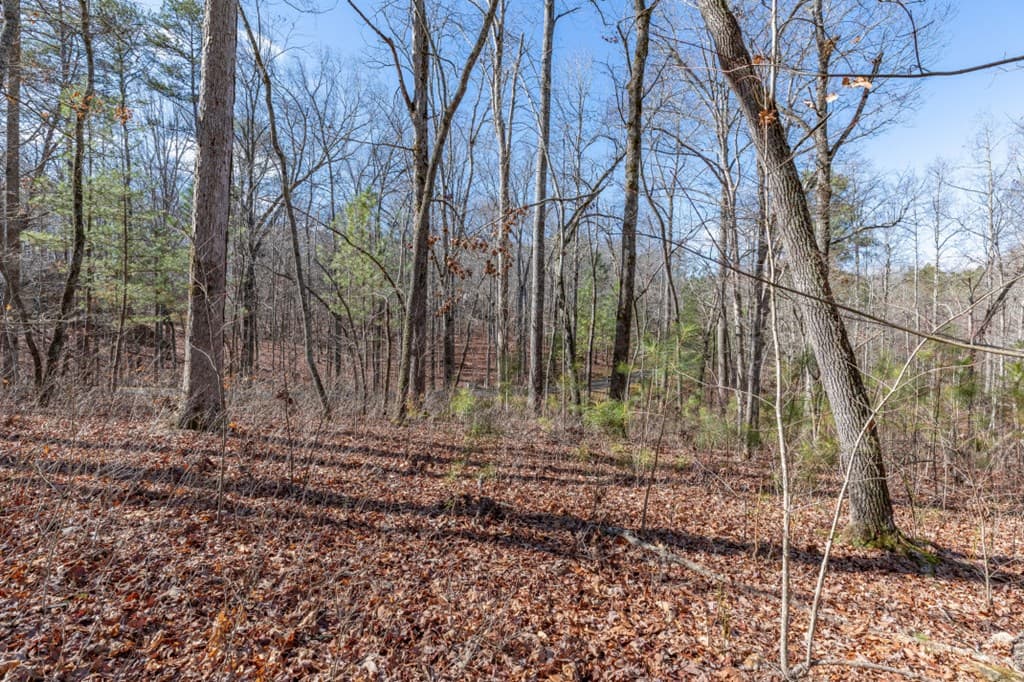 Lot 50 Tranquility @ Carters Lake, Ellijay GA 30540 - Photo