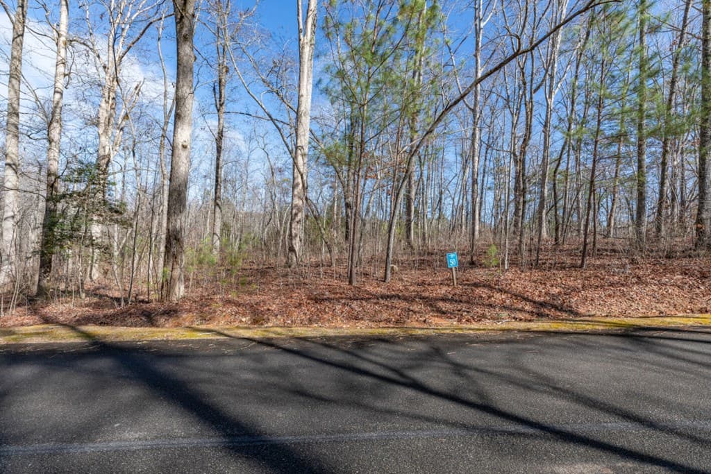 Lot 50 Tranquility @ Carters Lake, Ellijay GA 30540 - Photo