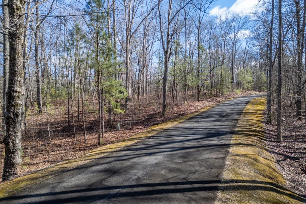Lot 50 Tranquility @ Carters Lake, Ellijay GA 30540 - Photo