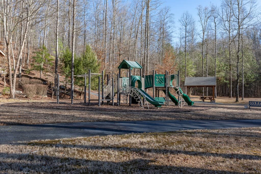 Lot 50 Tranquility @ Carters Lake, Ellijay GA 30540 - Photo