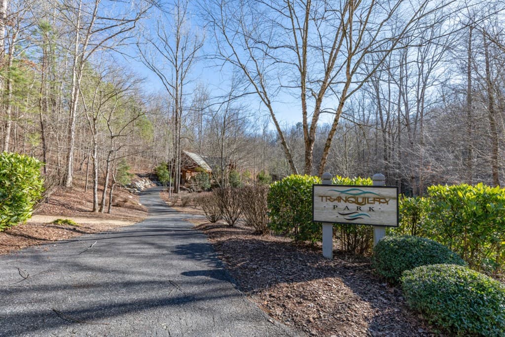 Lot 50 Tranquility @ Carters Lake, Ellijay GA 30540 - Photo