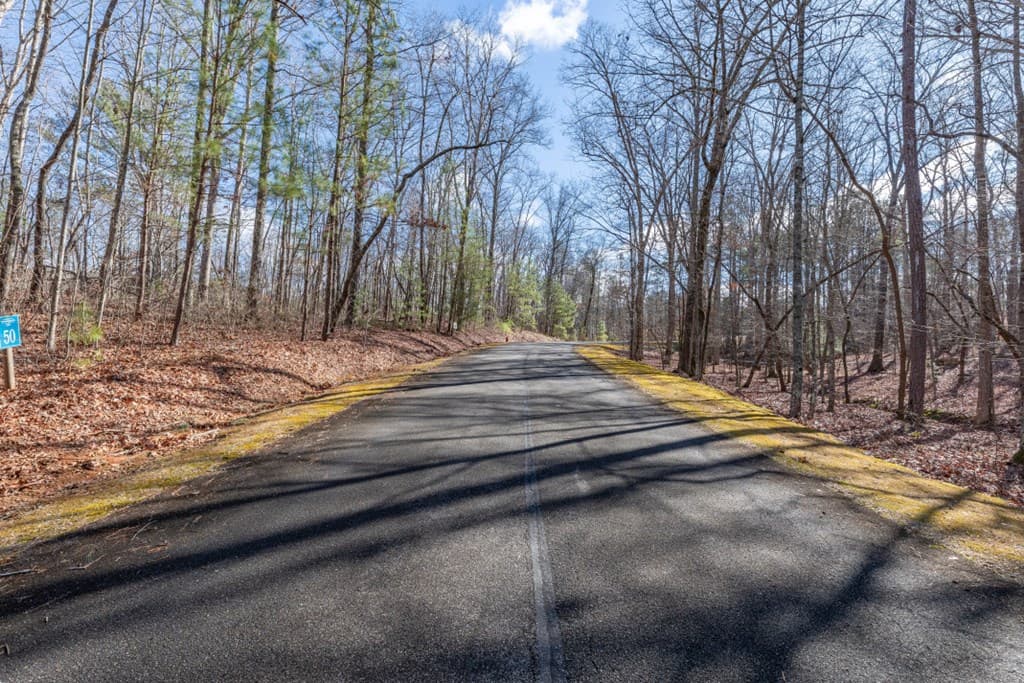 Lot 50 Tranquility @ Carters Lake, Ellijay GA 30540 - Photo