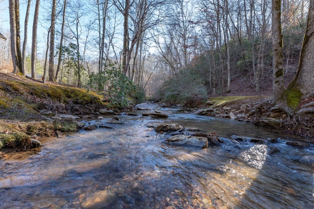 Lot 50 Tranquility @ Carters Lake, Ellijay GA 30540 - Photo