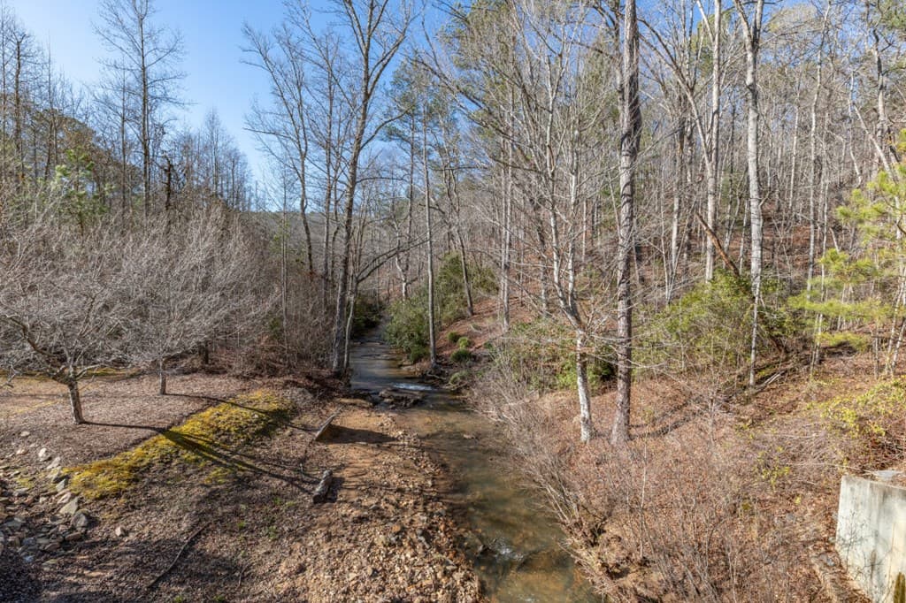 Lot 50 Tranquility @ Carters Lake, Ellijay GA 30540 - Photo
