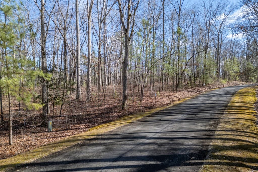 Lot 50 Tranquility @ Carters Lake, Ellijay GA 30540 - Photo