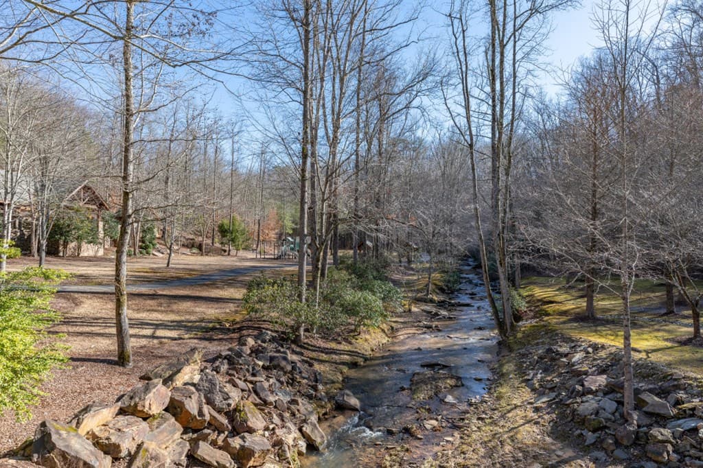 Lot 50 Tranquility @ Carters Lake, Ellijay GA 30540 - Photo