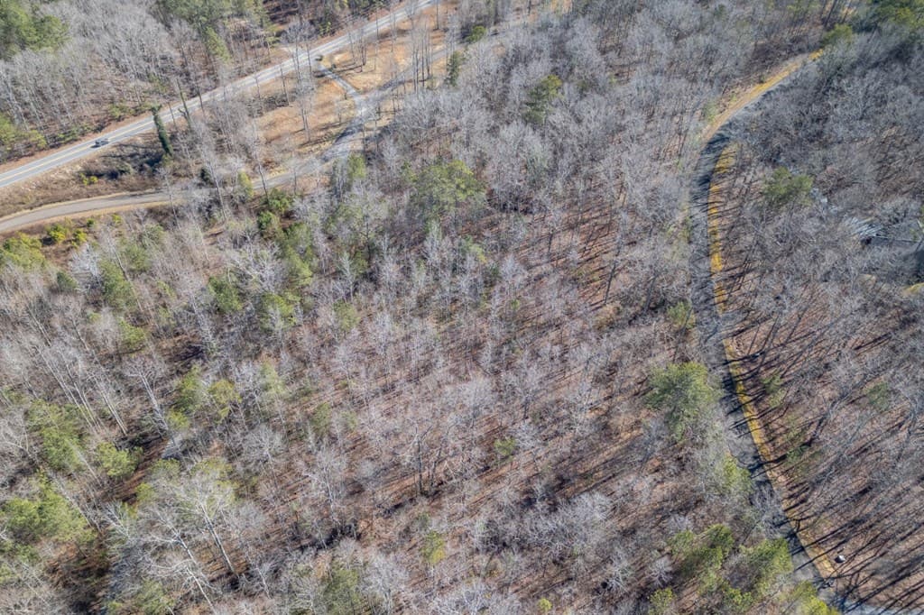 Lot 50 Tranquility @ Carters Lake, Ellijay GA 30540 - Photo