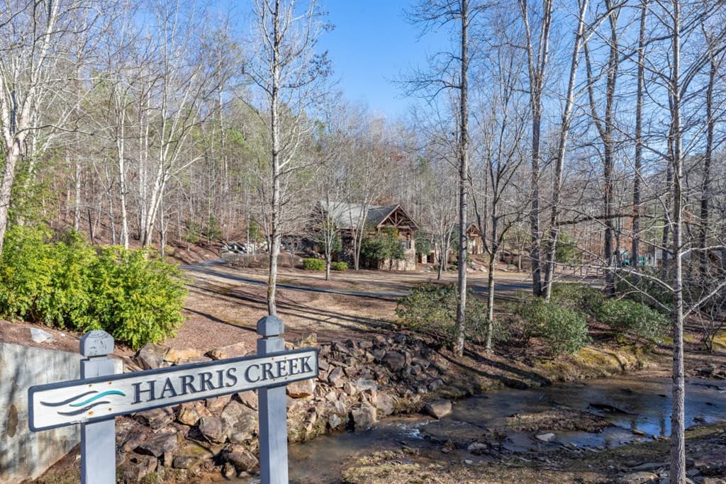 Lot 50 Tranquility @ Carters Lake, Ellijay GA 30540 - Photo