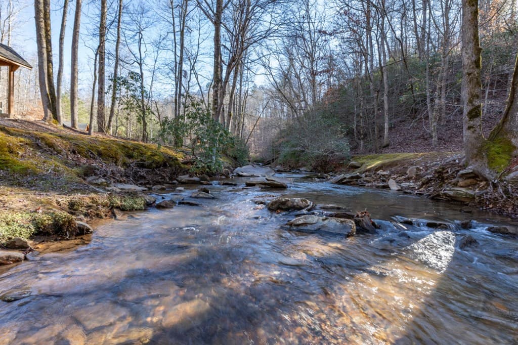 Lot 50 Tranquility @ Carters Lake, Ellijay GA 30540 - Photo
