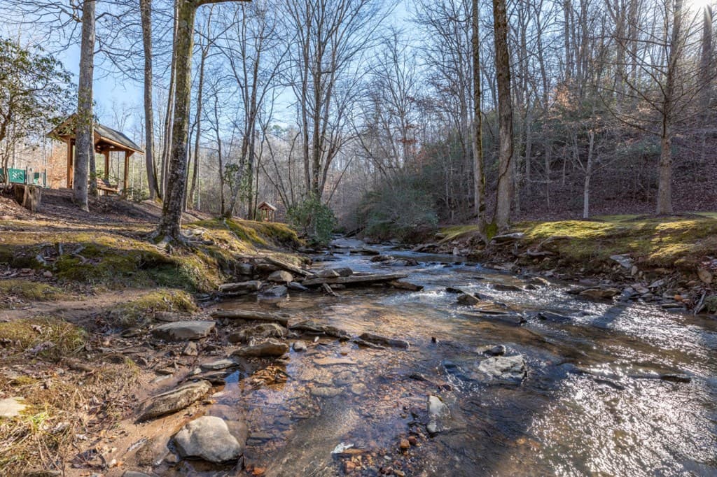 Lot 50 Tranquility @ Carters Lake, Ellijay GA 30540 - Photo
