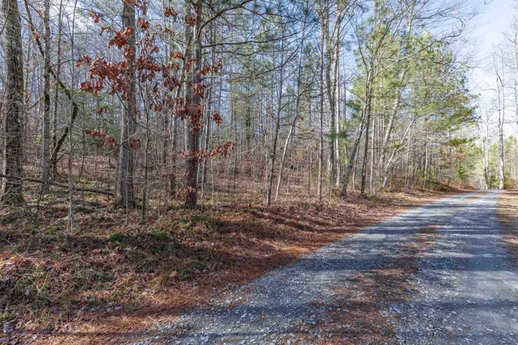 Lot 50 Tranquility @ Carters Lake, Ellijay GA 30540 - Photo
