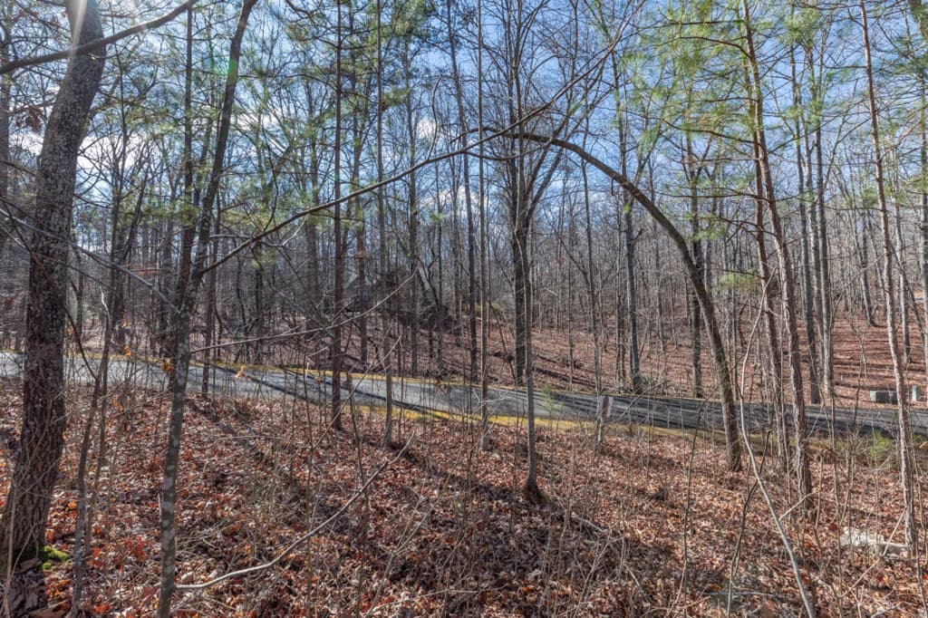 Lot 50 Tranquility @ Carters Lake, Ellijay GA 30540 - Photo