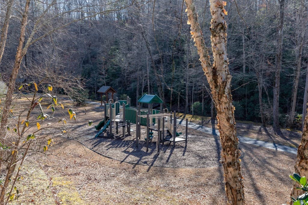Lot 50 Tranquility @ Carters Lake, Ellijay GA 30540 - Photo