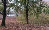 2.95 Stewart Road, Andrews NC 28901 - Primary photo