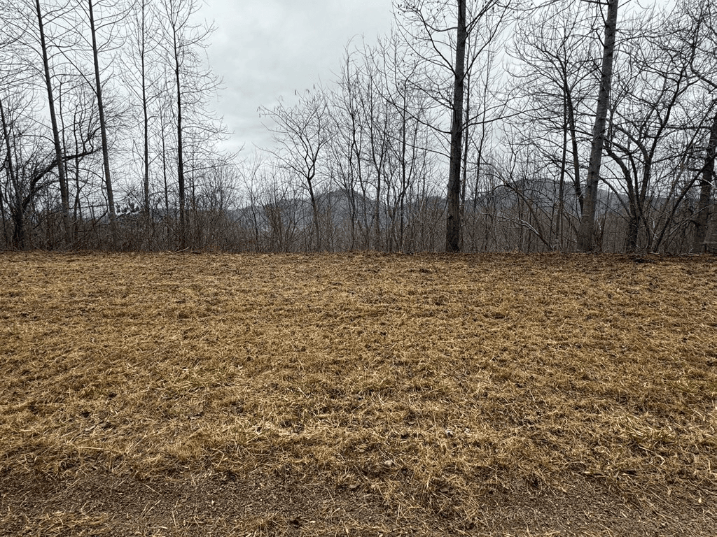 Lot 10 Chatuge Manor Drive, Young Harris GA 30582 - Photo