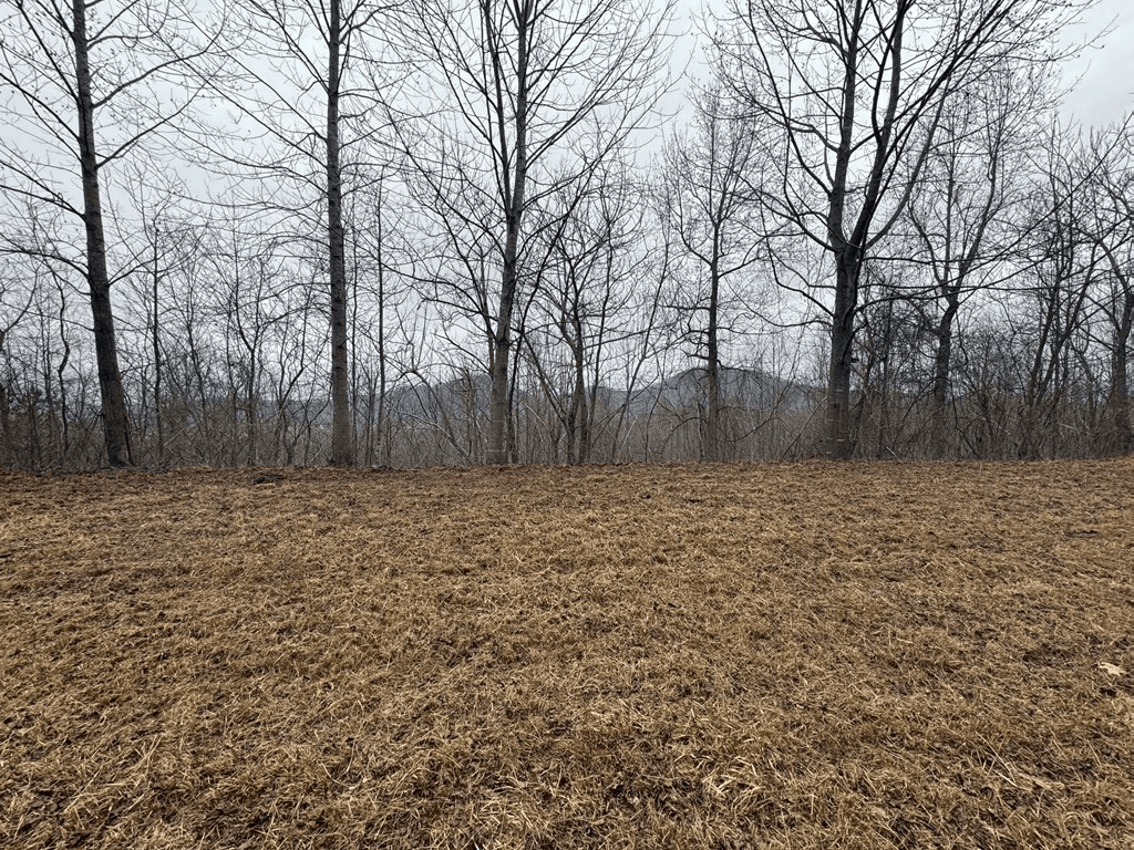 Lot 10 Chatuge Manor Drive, Young Harris GA 30582 - Photo