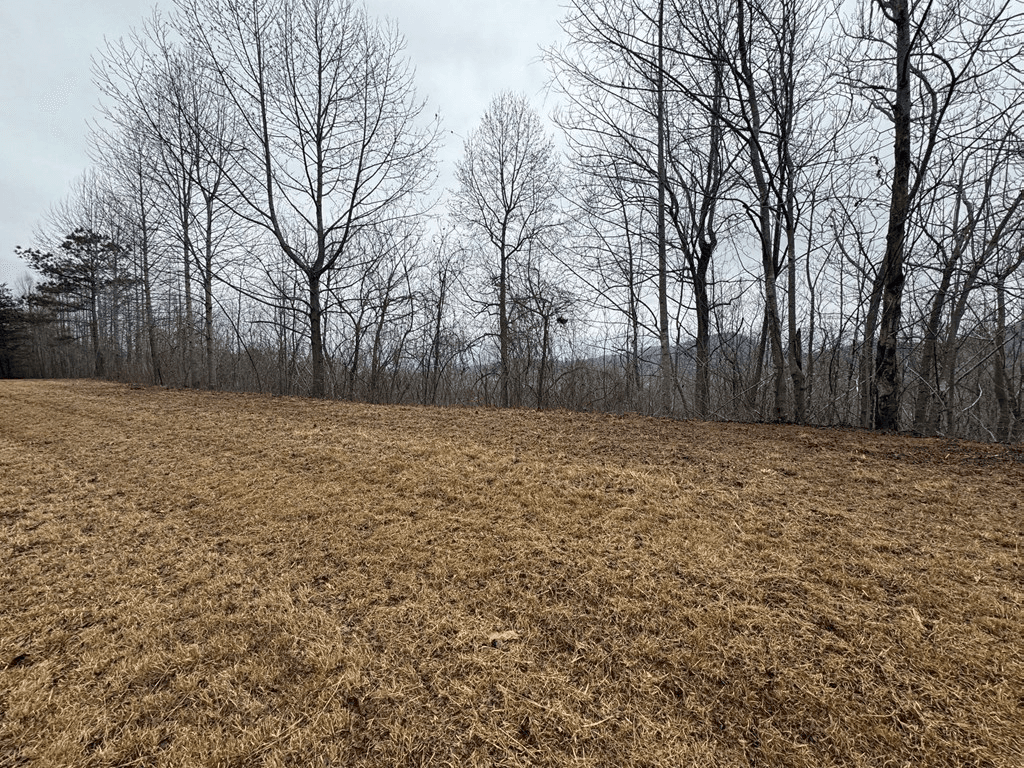 Lot 10 Chatuge Manor Drive, Young Harris GA 30582 - Photo