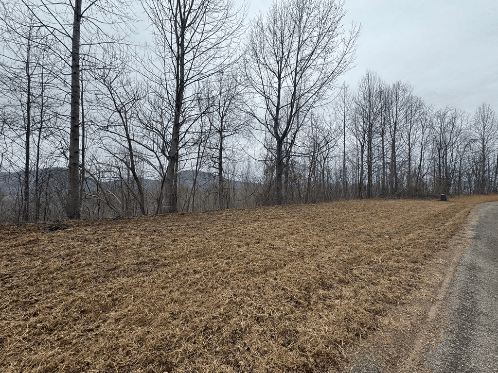 Lot 10 Chatuge Manor Drive, Young Harris GA 30582 - Photo