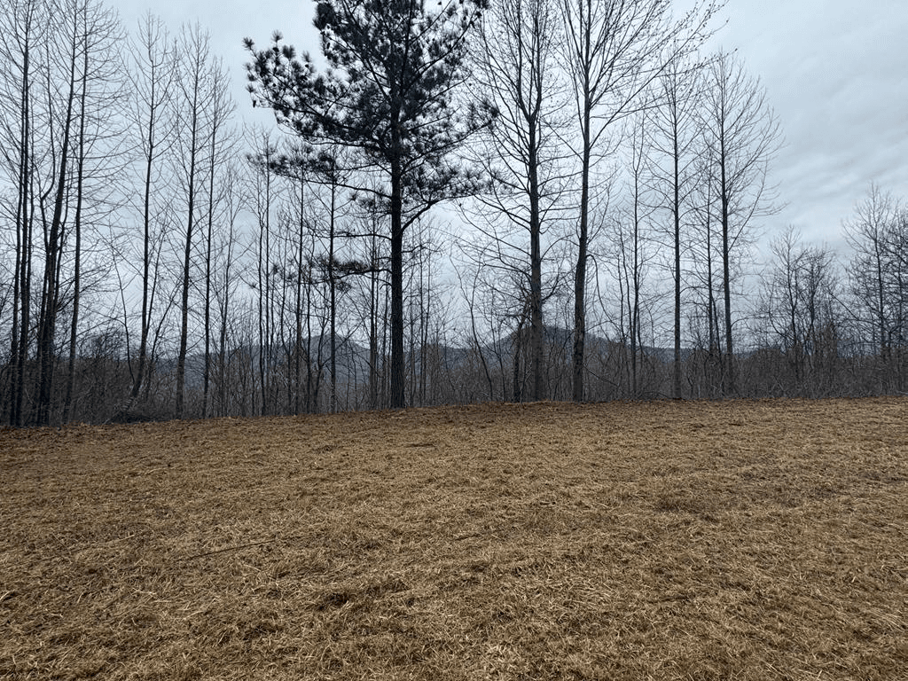 Lot 10 Chatuge Manor Drive, Young Harris GA 30582 - Primary photo