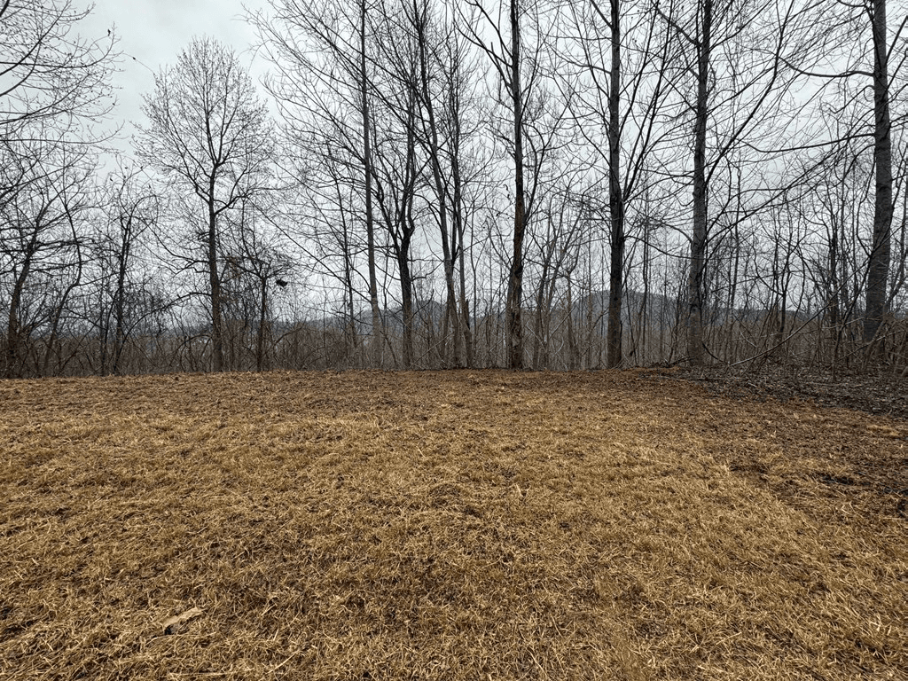 Lot 10 Chatuge Manor Drive, Young Harris GA 30582 - Photo