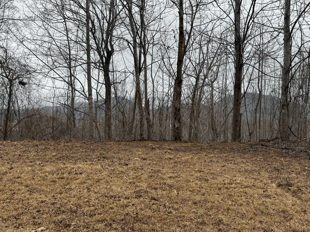 Lot 10 Chatuge Manor Drive, Young Harris GA 30582 - Photo
