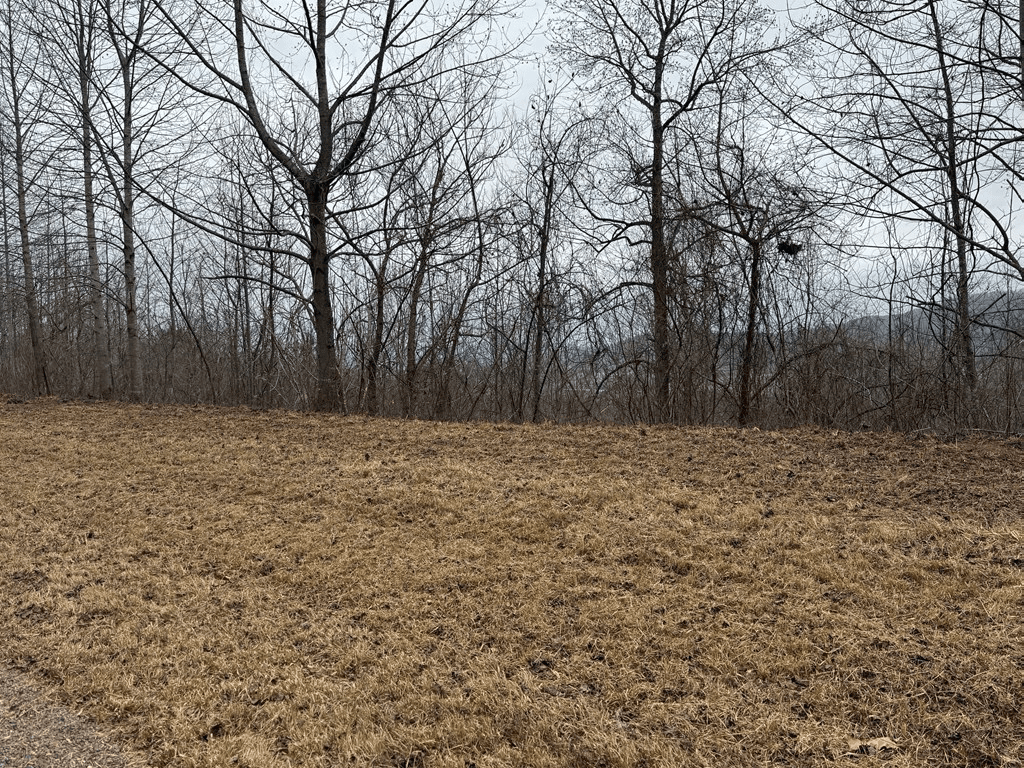 Lot 10 Chatuge Manor Drive, Young Harris GA 30582 - Photo