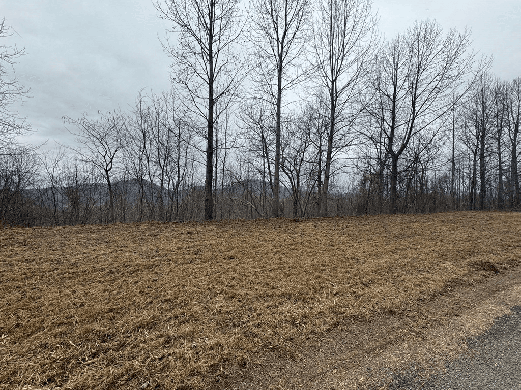 Lot 10 Chatuge Manor Drive, Young Harris GA 30582 - Photo