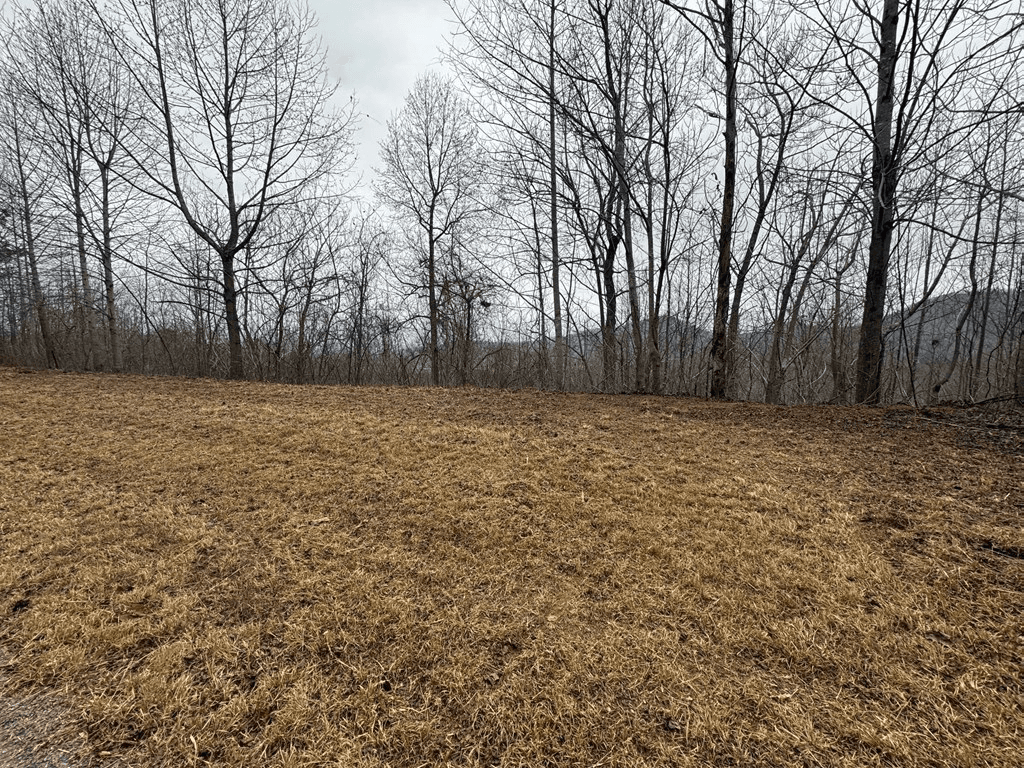 Lot 10 Chatuge Manor Drive, Young Harris GA 30582 - Photo