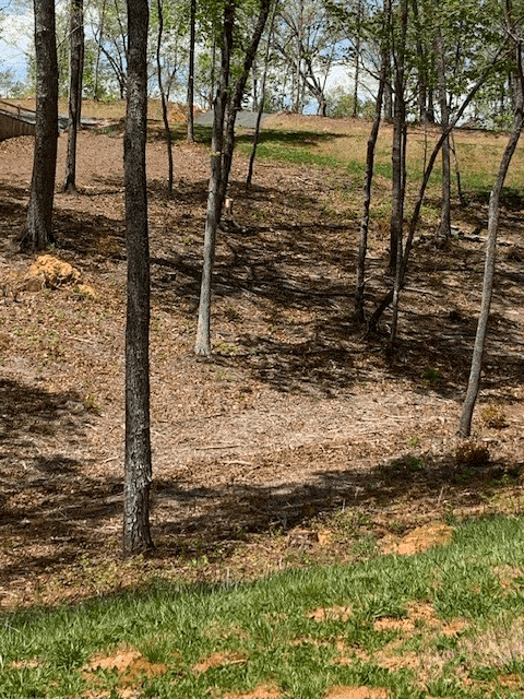 Lot #6 Lake Top, Ellijay GA 30540 - Photo