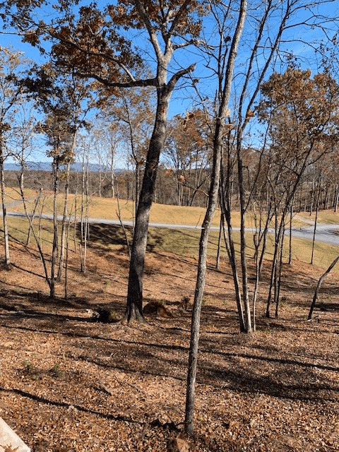 Lot #6 Lake Top, Ellijay GA 30540 - Photo