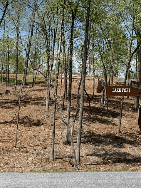 Lot #6 Lake Top, Ellijay GA 30540 - Photo