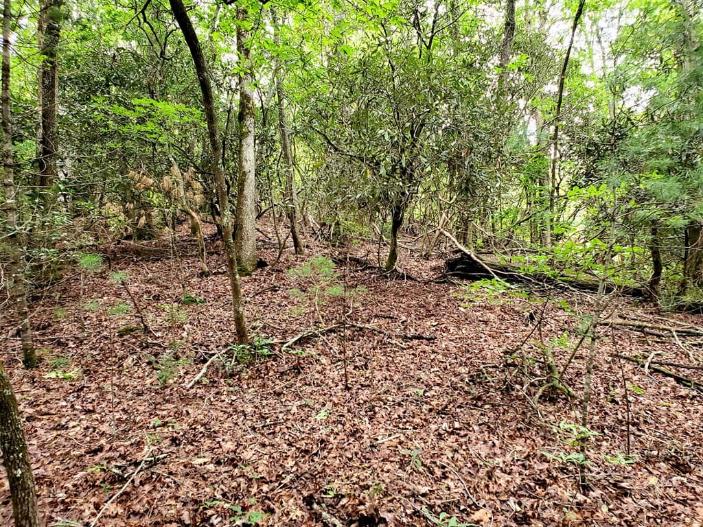 10.61 E Charlies Creek Road, Hiawassee GA 30546 - Photo