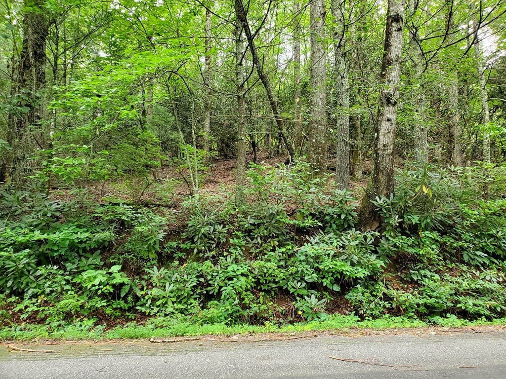 10.61 E Charlies Creek Road, Hiawassee GA 30546 - Photo