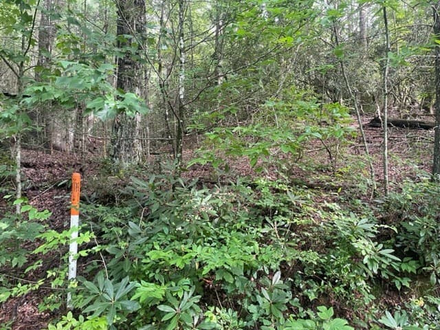 10.61 E Charlies Creek Road, Hiawassee GA 30546 - Photo
