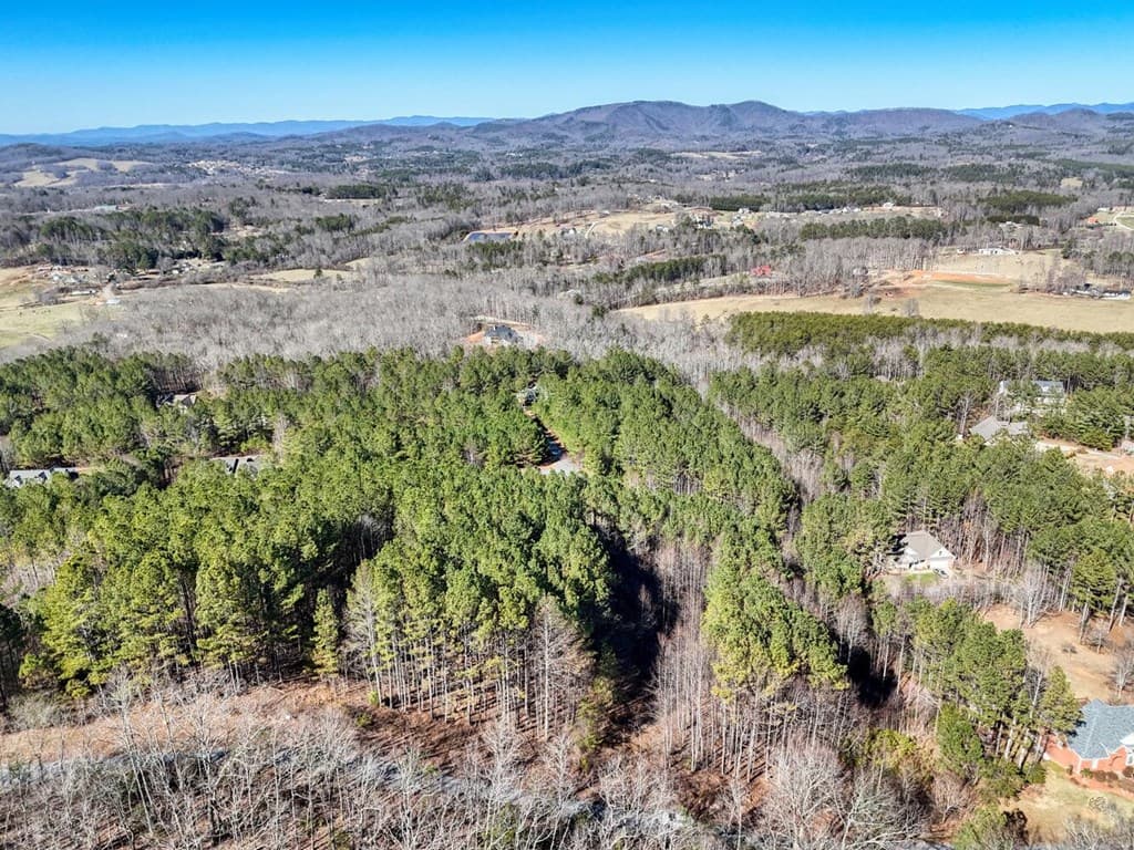 Lot 24 Loftis Mountain, Blairsville GA 30512 - Photo