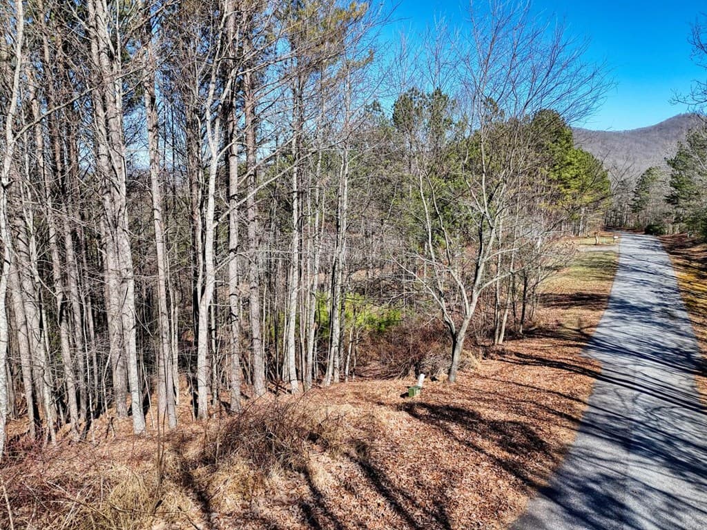 Lot 24 Loftis Mountain, Blairsville GA 30512 - Photo