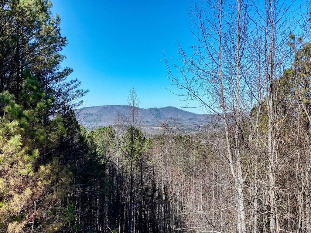 Lot 24 Loftis Mountain, Blairsville GA 30512 - Primary photo