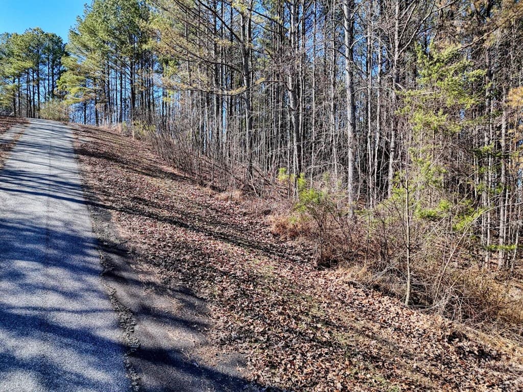 Lot 24 Loftis Mountain, Blairsville GA 30512 - Photo