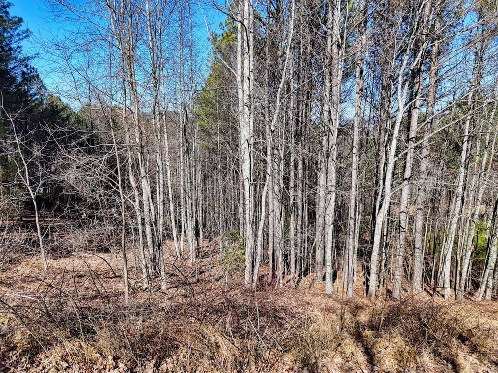Lot 24 Loftis Mountain, Blairsville GA 30512 - Photo