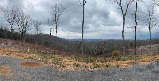 Lot 173 Shagbark Court, Ellijay GA 30541 - Photo