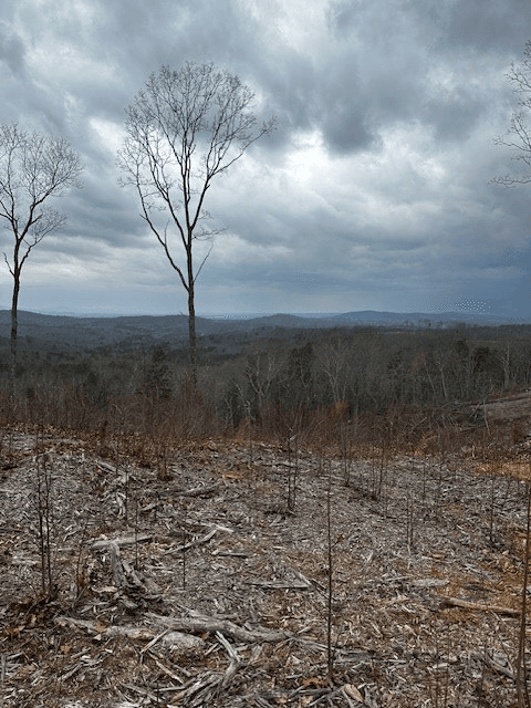 Lot 173 Shagbark Court, Ellijay GA 30541 - Photo