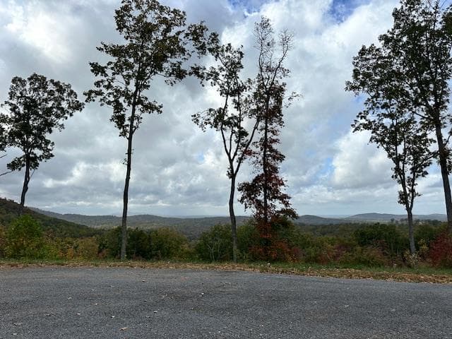 Lot 173 Shagbark Court, Ellijay GA 30541 - Photo